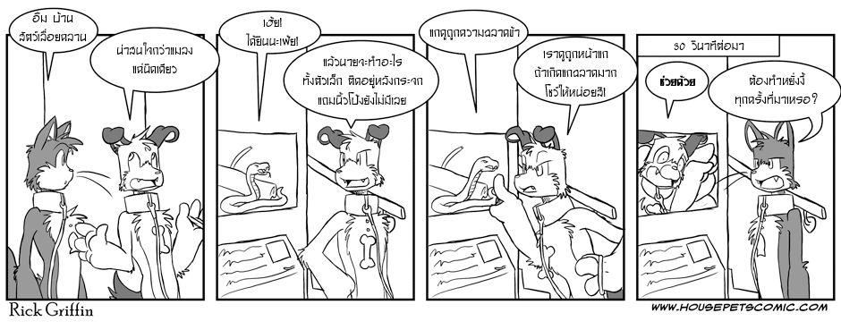 อย่ายั่วยุสัตว์